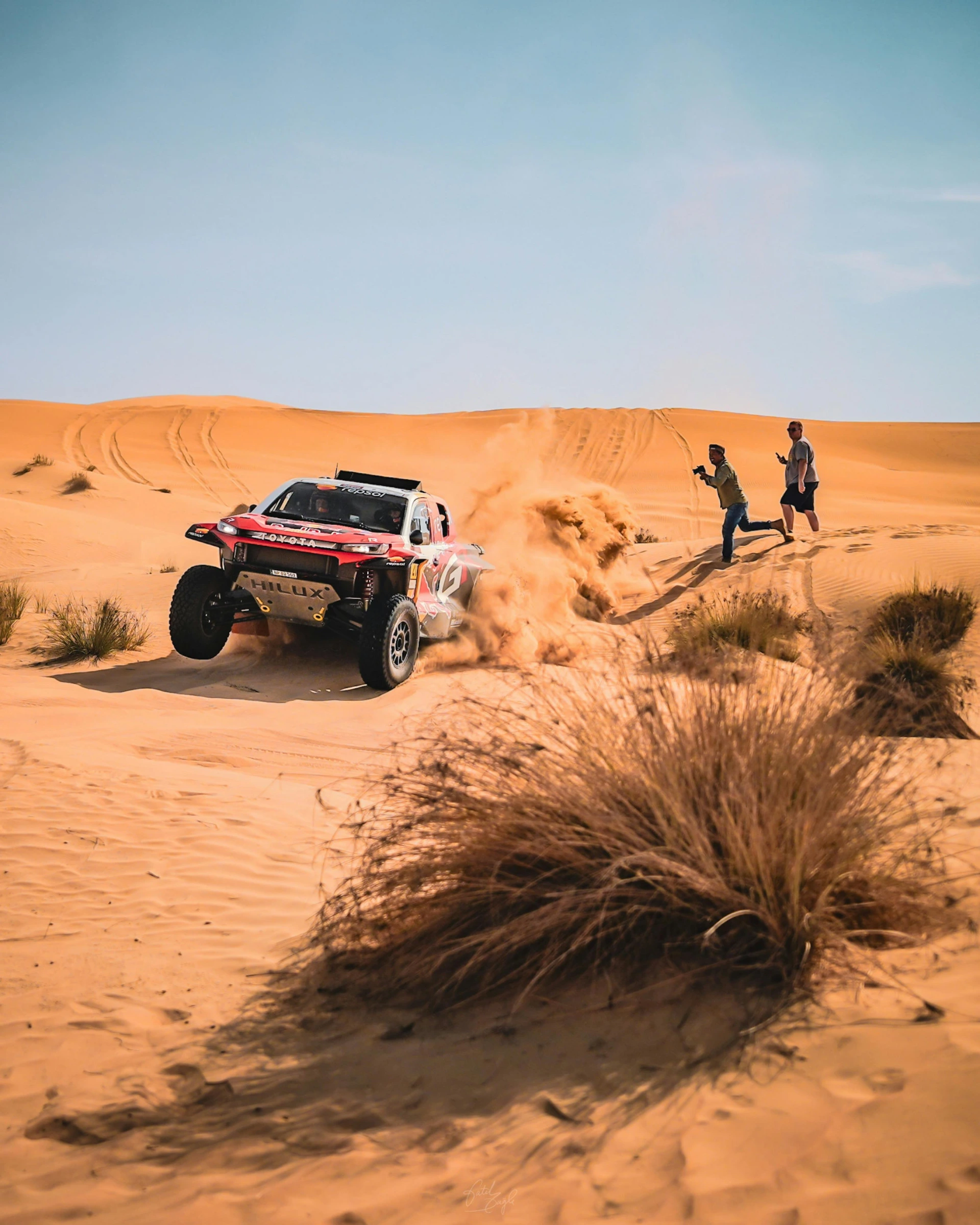 VIP Red Dune Safari Experience